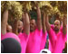CSD
